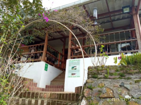 Ágora Manantial